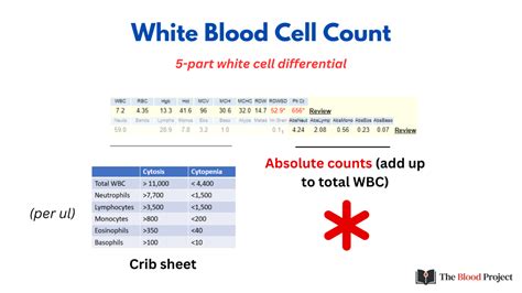 absolute wbc count calculator|Calculating Absolute Cell Counts .